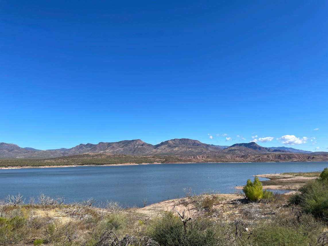 Roosevelt Lake Views