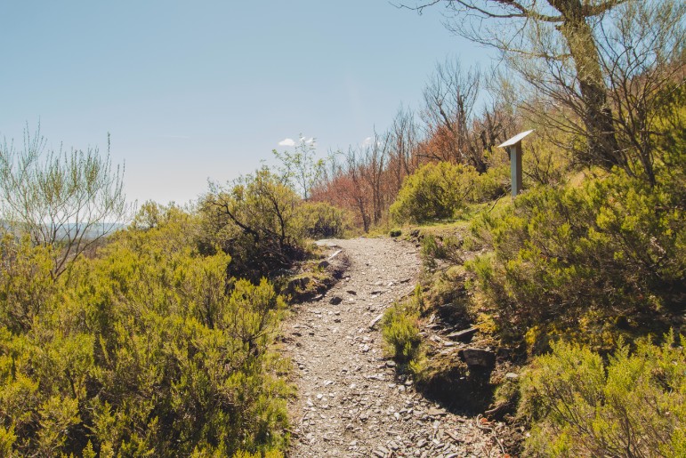 Off-road trails