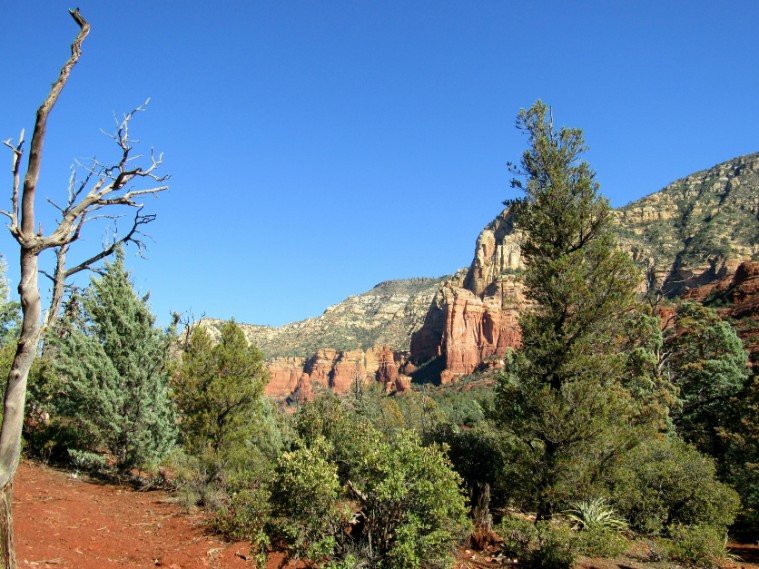 Tonto National Forest