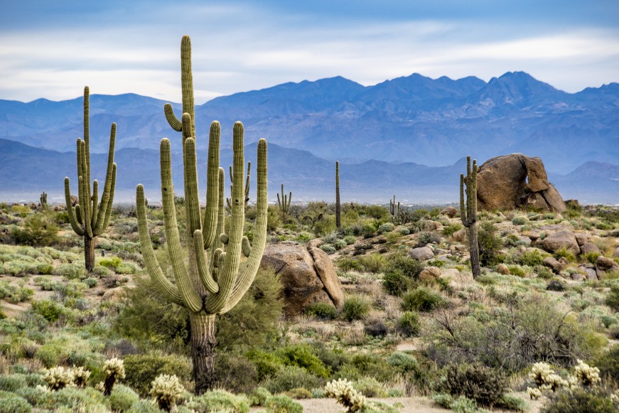 Tonto National Monument